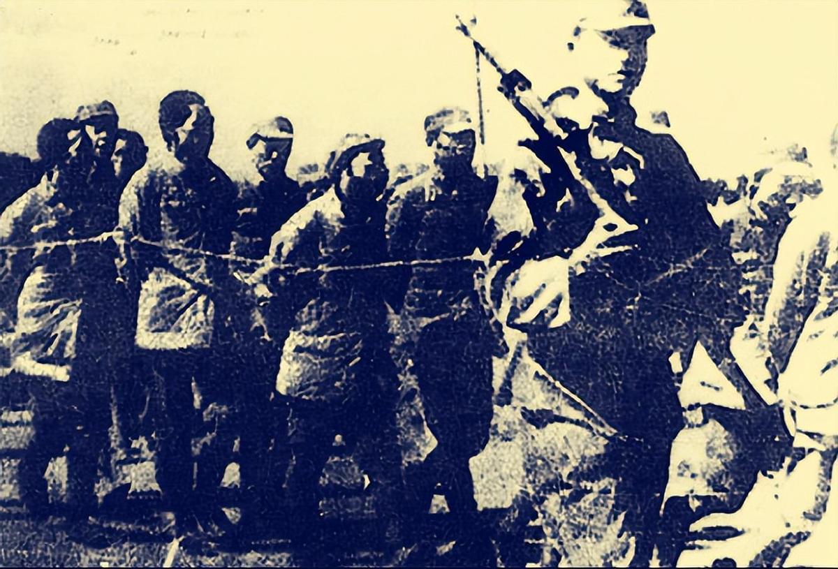 最新抗戰(zhàn)電視劇，小巷深處的戰(zhàn)爭故事與特色小店揭秘