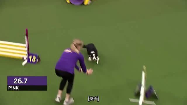 敏捷比賽全攻略，從入門到精通的競賽指南