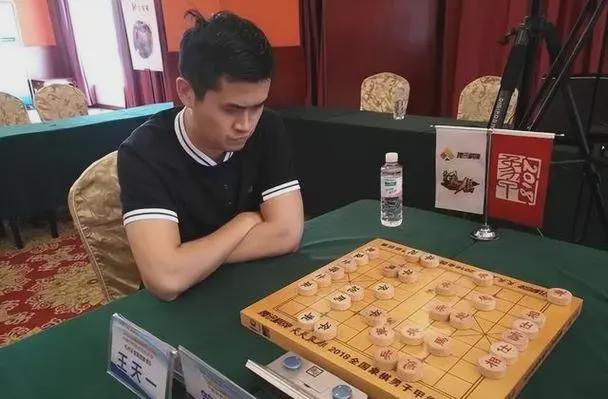 廈門象棋比賽,廈門象棋比賽，棋盤上的一場人生勵(lì)志之旅