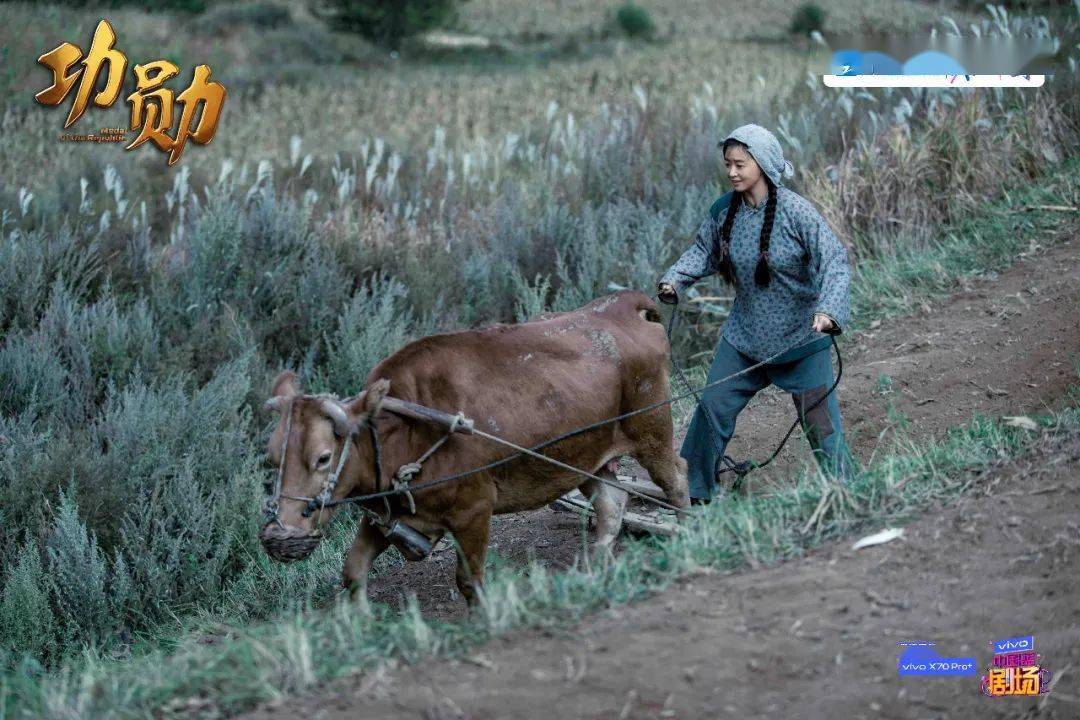 申紀(jì)蘭演員表制作指南，從初學(xué)者到進(jìn)階用戶的步驟參考