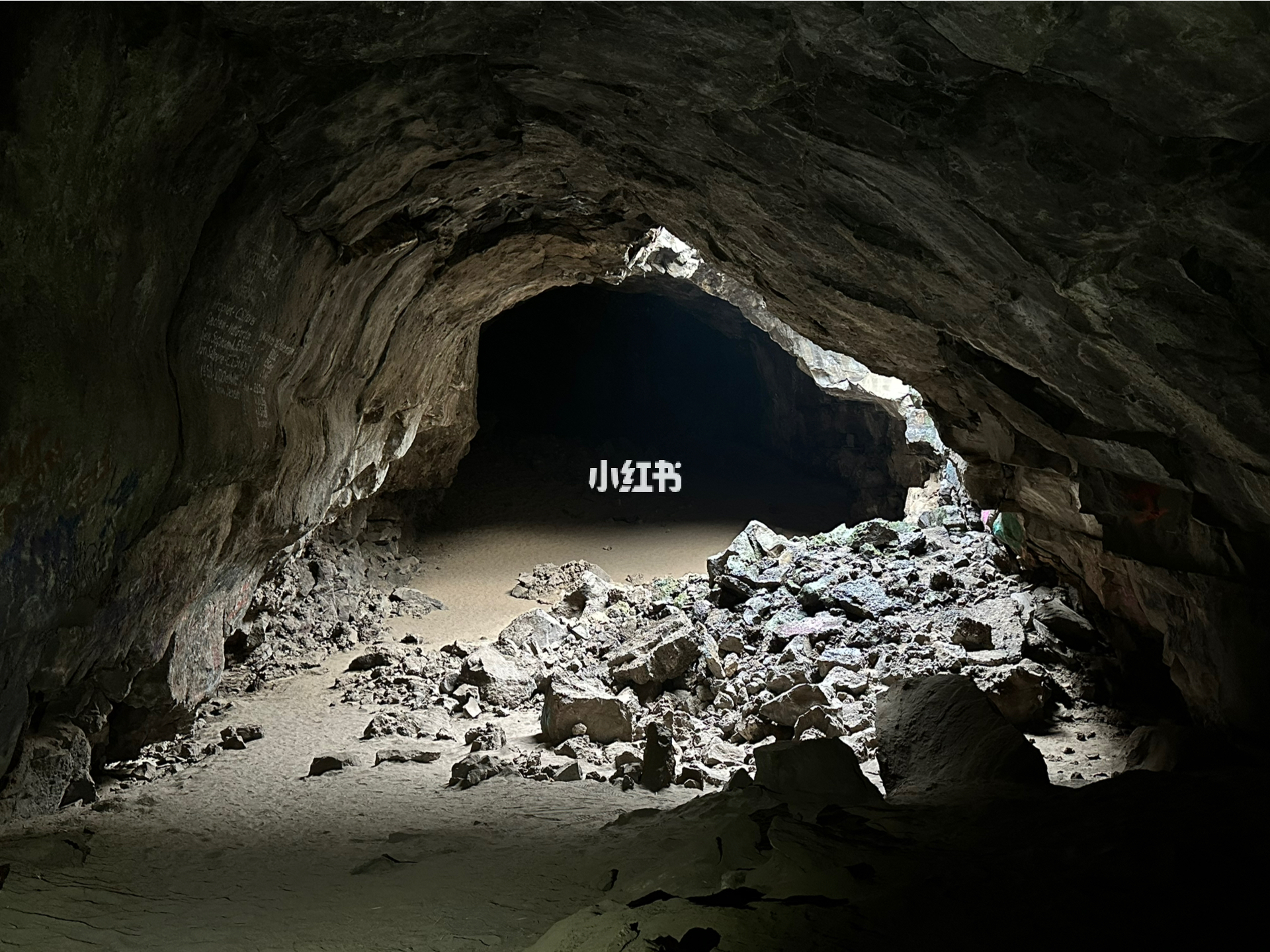 洞明星，光環(huán)下的反思與深度洞察