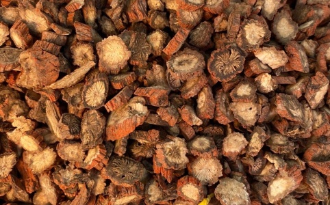 丹參行情深度解析，市場走勢與多方觀點探析