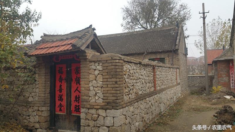 最新住房執(zhí)行解釋的溫馨日常故事解讀