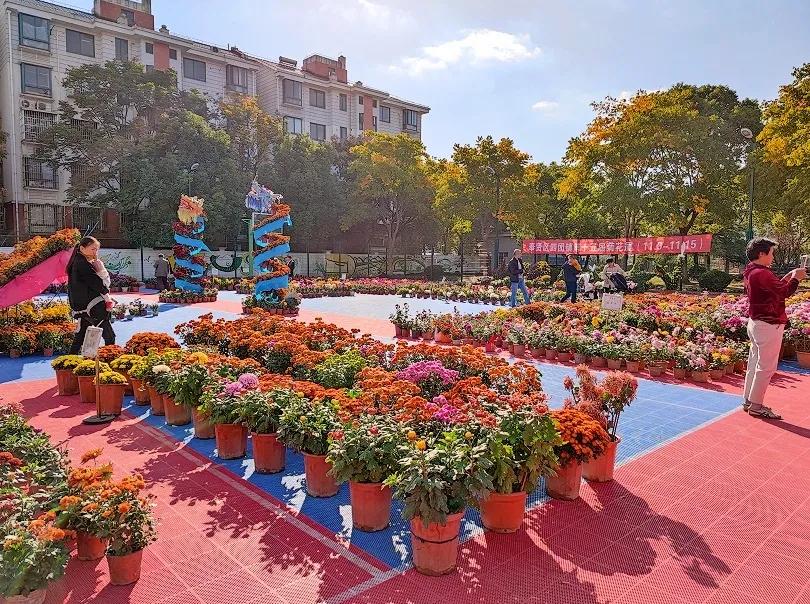 電影滿城盡是黃金甲,電影滿城盡是黃金甲，權(quán)力與欲望的交織