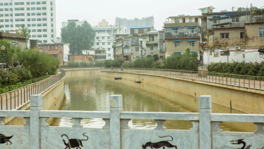 南陽(yáng)銀基最新動(dòng)態(tài),南陽(yáng)銀基最新動(dòng)態(tài)