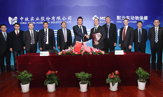 中牧股份最新動(dòng)態(tài)，行業(yè)巨頭引領(lǐng)畜牧業(yè)發(fā)展