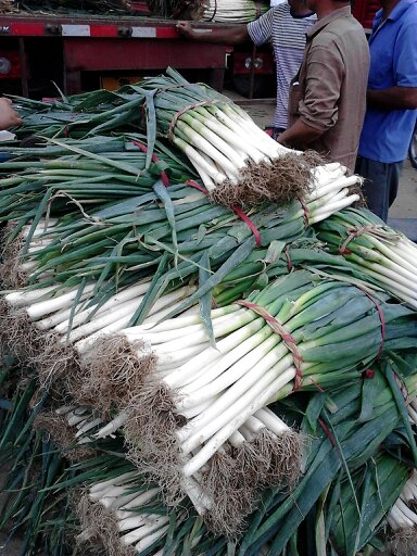 安丘大蔥最新價(jià)格動(dòng)態(tài),安丘大蔥最新價(jià)格動(dòng)態(tài)，小巷深處的蔥香秘境