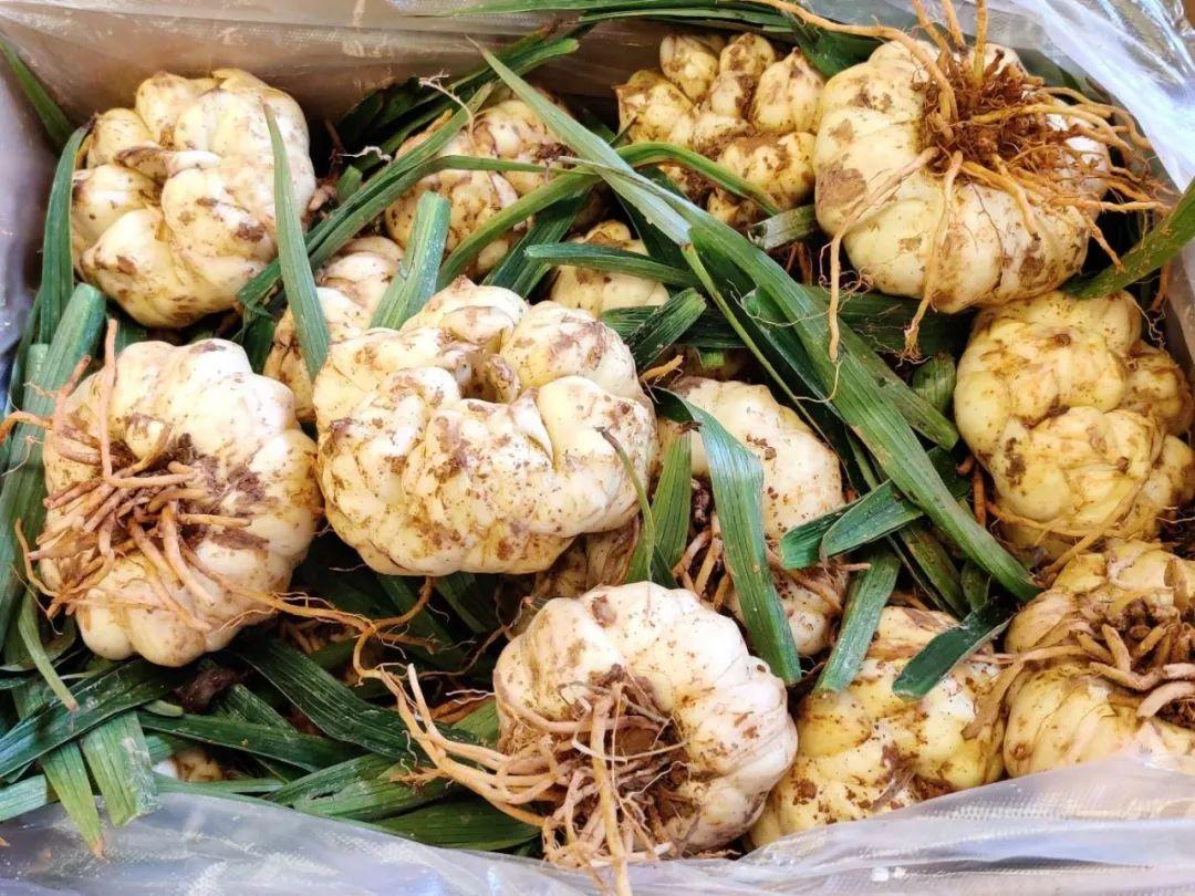 豇豆價格最新行情，科技智能引領(lǐng)生活，應(yīng)用升級再掀波瀾