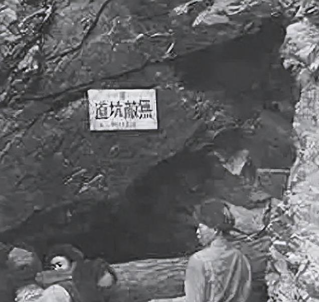 朗洞事件最新進(jìn)展，日常冒險(xiǎn)之旅的溫馨趣事