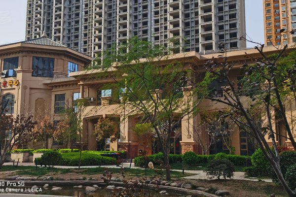 安陽帕提歐，巷深美食秘境，最新資訊盡在其中！