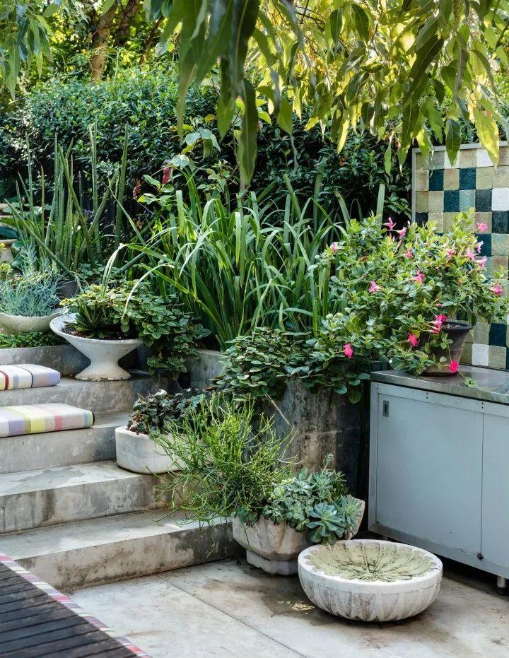 妙手回春再現(xiàn)輝煌，傳統(tǒng)醫(yī)術(shù)的再生與最新進(jìn)展