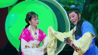 名家動(dòng)態(tài)速遞,名家動(dòng)態(tài)速遞，背景、重要事件與影響