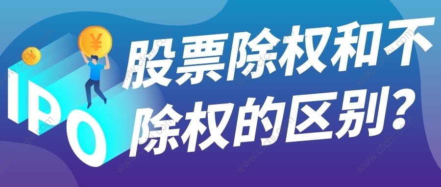 除權股票，小巷特色小店的隱秘寶藏與奇妙故事