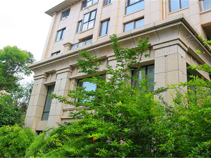 藍爵莊園最新住宅價格解析，市場走勢與多元觀點分析