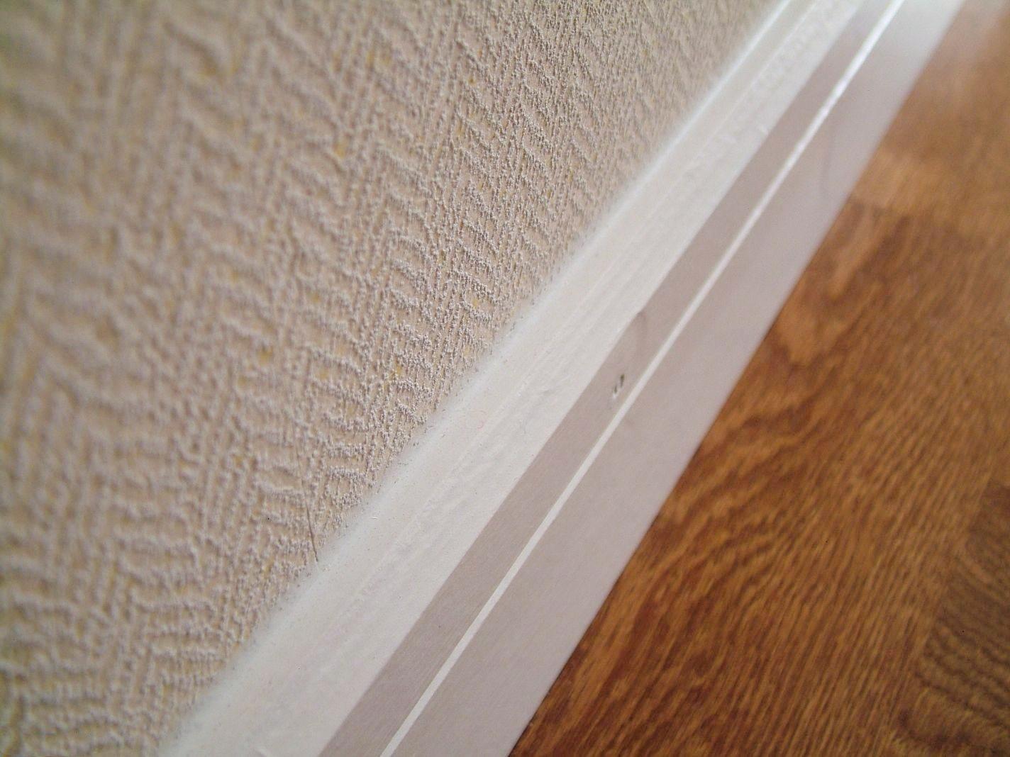 溫馨日常與友情紐帶，愛與陪伴的溫馨故事