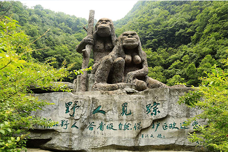 神農(nóng)架景區(qū)門(mén)票價(jià)格詳解，全方位了解門(mén)票費(fèi)用