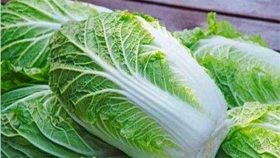 優(yōu)質(zhì)大白菜購買指南，價格查詢與選購要點詳解