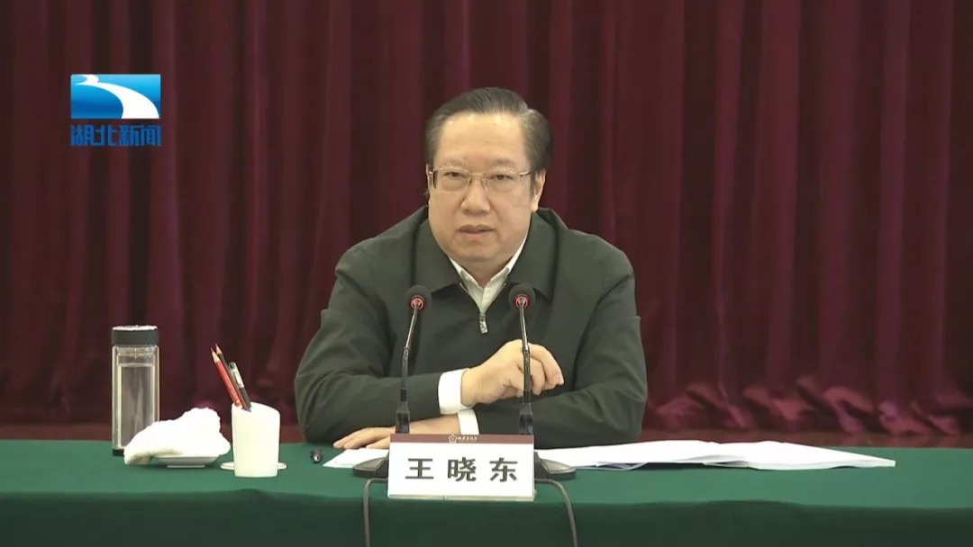 都市放牛演員王曉東，演技與多維影響力的深度解讀