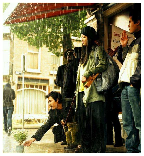 韓國(guó)電影雛菊，與自然美景的對(duì)話之旅，探尋內(nèi)心平和與喜悅的旅程