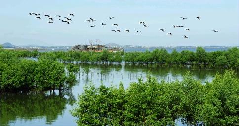 2025年7月臺(tái)風(fēng)的最新動(dòng)態(tài)與小巷特色小店的驚喜探秘