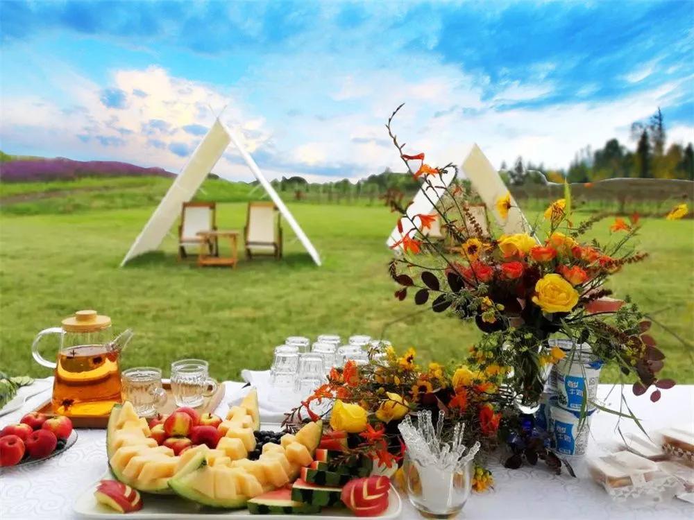 逢實螢資訊深度解析，影響及前景展望