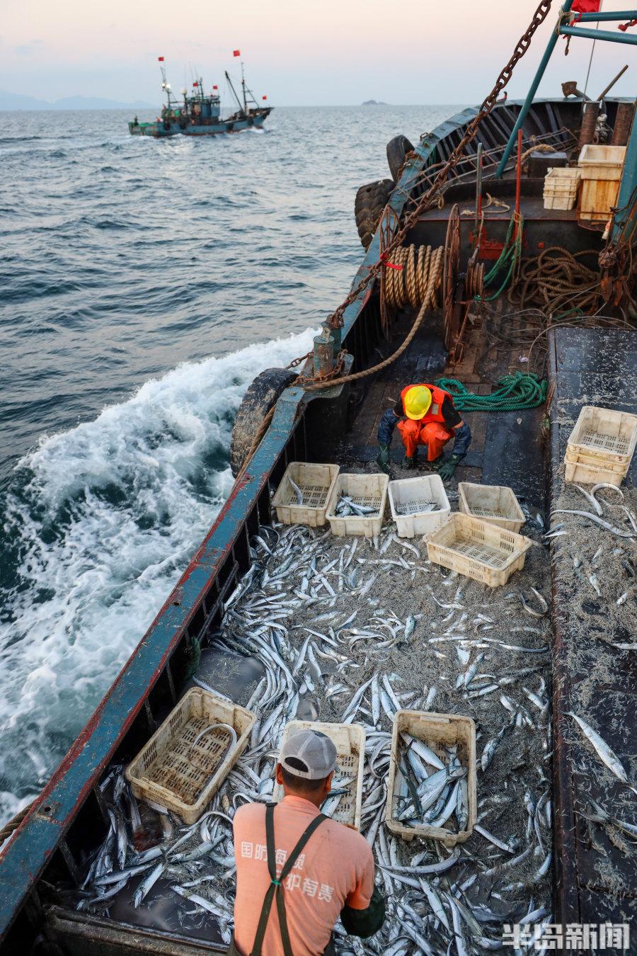 關(guān)于大型捕魚船價格的探討，以50米捕魚船為例的價格解析