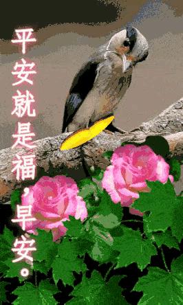 科技領(lǐng)域突破性進(jìn)展的最新動(dòng)態(tài)