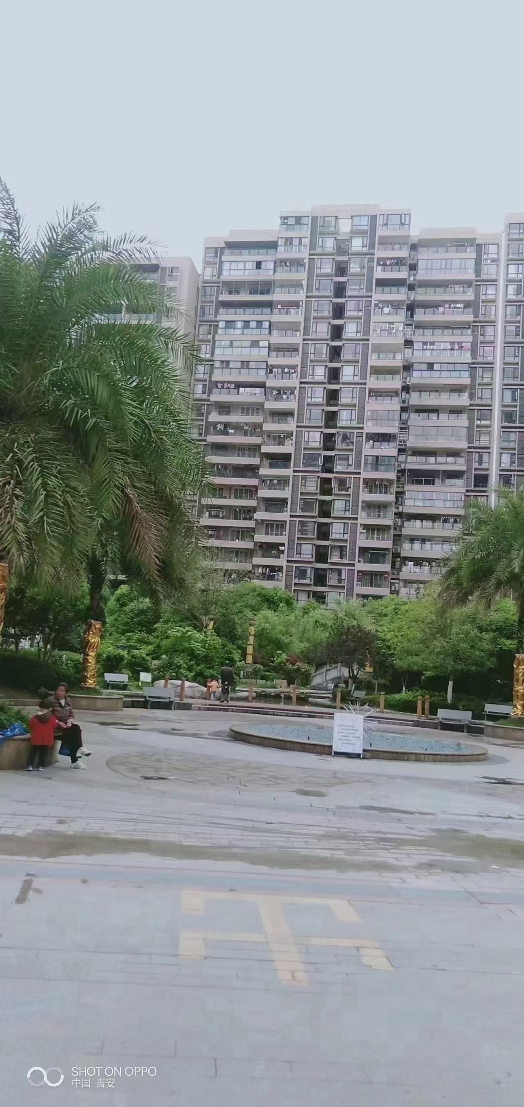 遂川房產資訊平臺，探尋自然美景，尋覓內心平和的旅行之道