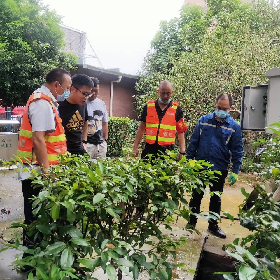 成都環(huán)保檢查動(dòng)態(tài)更新，持續(xù)環(huán)境治理行動(dòng)進(jìn)展報(bào)告