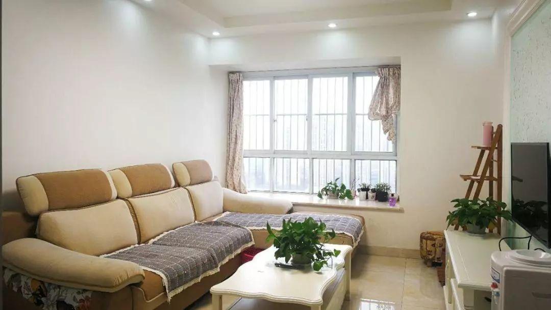 出租女房客信息背后的溫馨故事揭秘