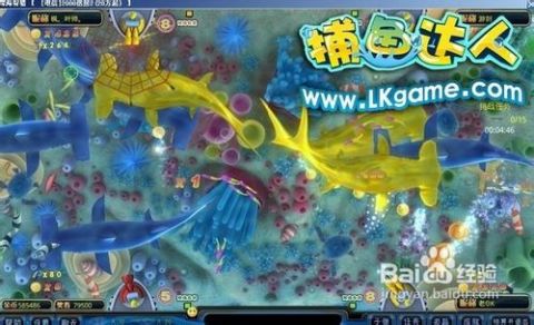 掌握最新捕魚技巧，輕松成為捕魚達人！