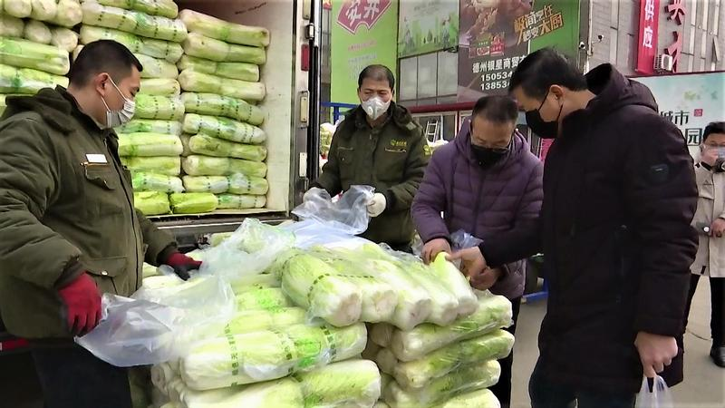 德州市場(chǎng)最新菜價(jià)更新，全面指南