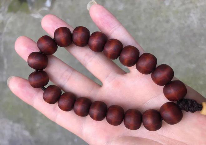 六道木價格探析，揭示獨特文化木材的價值觀點