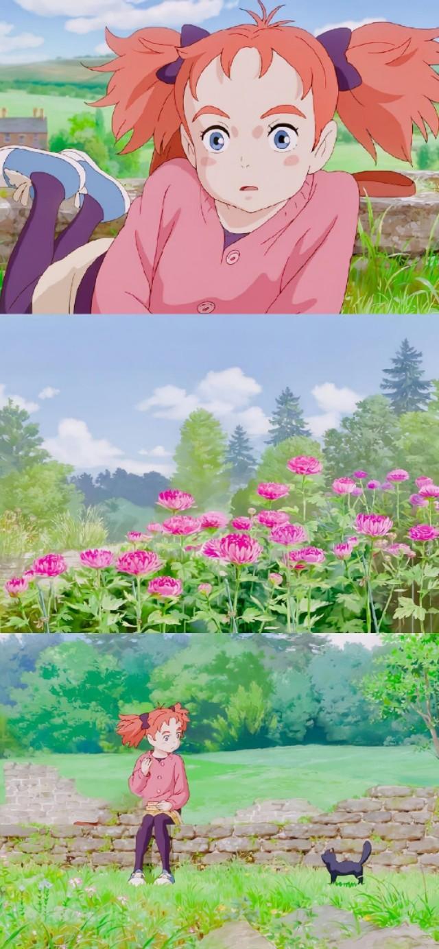 瑪麗動漫，夢幻之旅，開啟二次元世界的大門?