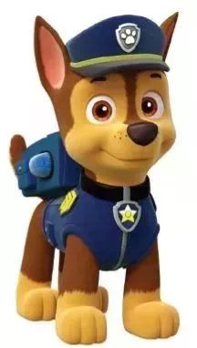 最新阿奇資訊，學(xué)習(xí)變革，擁抱自信成就的力量