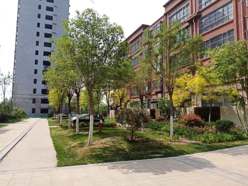 東平書(shū)香苑最新價(jià)格概覽及動(dòng)態(tài)分析