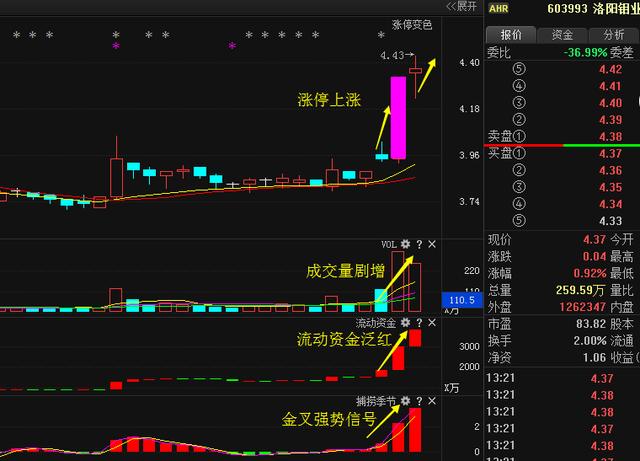 洛陽(yáng)鉬業(yè)重組最新動(dòng)態(tài)揭秘，步驟指南與最新進(jìn)展