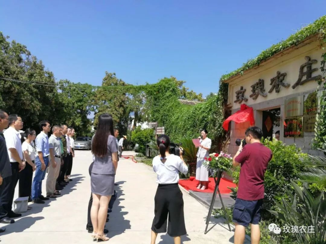 長泰人才網古農農場最新職位招聘大揭秘，小巷深處的特色小店等你來探索！