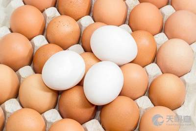 今日雞蛋最新報價詳解，步驟指南與價格更新通知