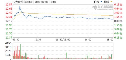 玉龍股份股票行情最新動態(tài)，股市熱議焦點(diǎn)??