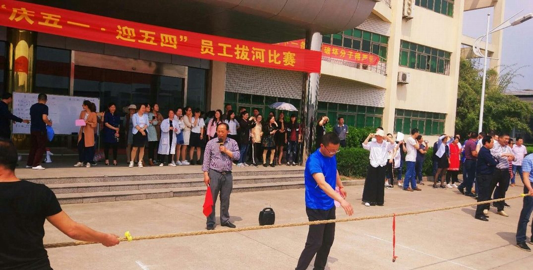 拔河比賽，團(tuán)結(jié)的力量展現(xiàn)與300字作文描述