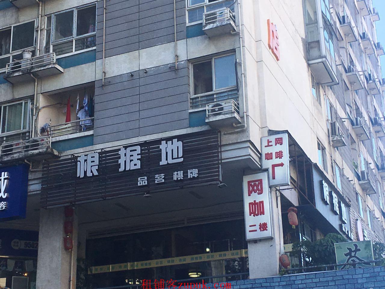 成都茶坊轉讓信息詳解，深度探討與觀點闡述