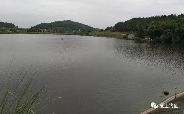 頭道溝水庫最新進(jìn)展，自然之旅的新里程碑達(dá)成標(biāo)題簡潔明了，符合內(nèi)容主旨。希望符合您的要求。