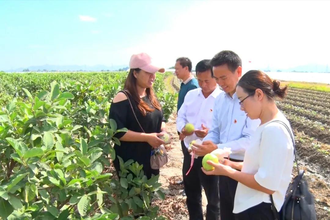 58同城海豐最新職位招聘，與自然美景同行，尋找內(nèi)心的平和寧靜之旅