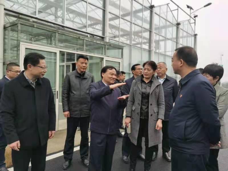 金博地最新動態(tài)，引領(lǐng)創(chuàng)新，塑造未來藍圖之路