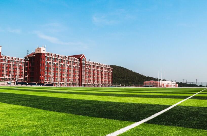 山東大學(xué)動漫設(shè)計專業(yè)，自然美景中的探索之旅