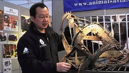 中國最新疫情動態(tài)更新概況