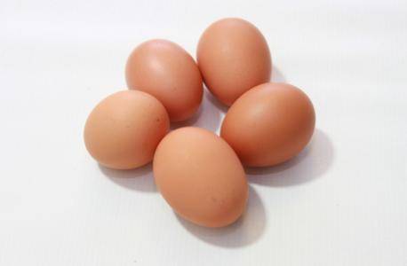 河南周口雞蛋價格行情詳解與分析