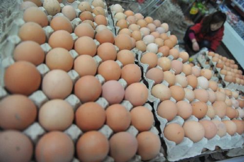河南周口雞蛋價格行情詳解與分析
