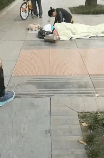 玉米價(jià)格實(shí)時(shí)動(dòng)態(tài)更新